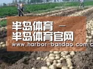种植基地八