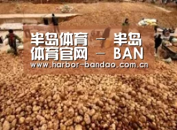 种植基地二