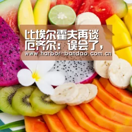 比埃尔霍夫再谈厄齐尔：误会了，我没说带272打世界杯是错误“半岛体育平台”(图1)